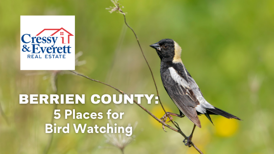 Birdwatching is one of the easiest and most rewarding hobbies a person can have. Be sure to explore these nearby birding hotspots in Berrien County.